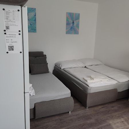 Angel Apartman Nove Mesto nad Metuji Exterior photo