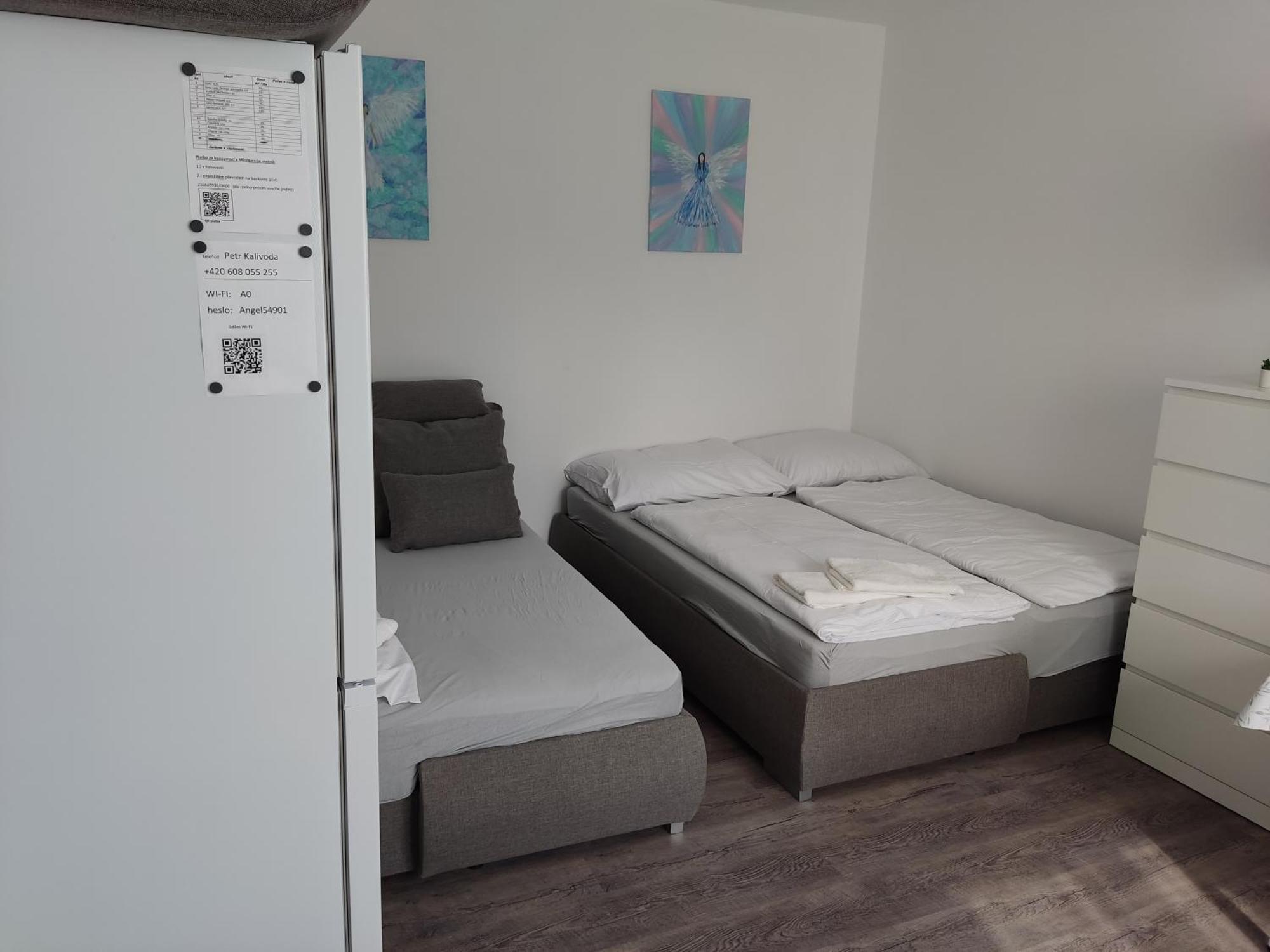 Angel Apartman Nove Mesto nad Metuji Exterior photo